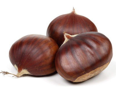 Three whole raw Afiya Turkish chestnuts in their brown shells on a white background