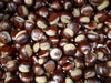 Raw in-shell chestnuts with glossy brown shells, illustrative close-up thumbnail 2
