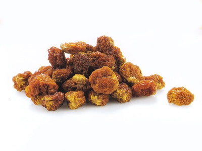 Hazer Baba Dried Goldenberry 500 g vacuum packed - Hazer Baba