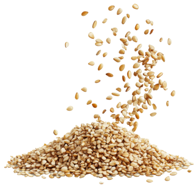 Osmanlioglu Premium Sesame Seeds Pack - Osmanlioglu